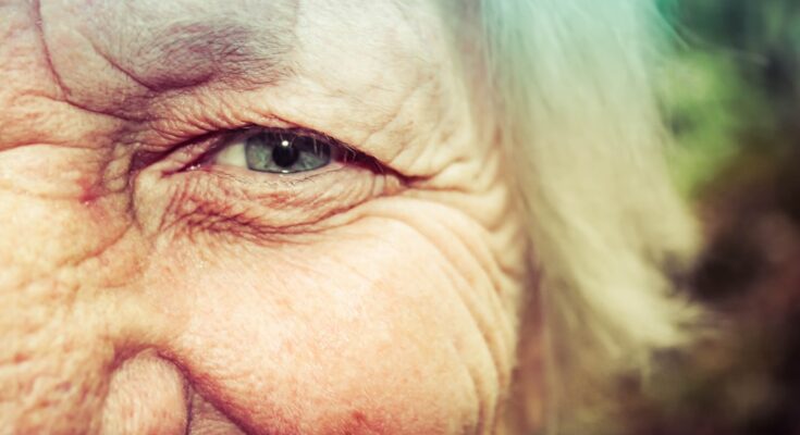 découvrez ce qu'est l'aging, ses causes, ses effets sur le corps et l'esprit, ainsi que des conseils pratiques pour vieillir en santé et ralentir les signes du temps.