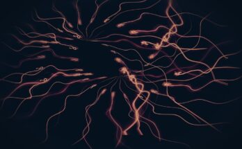 découvrez les causes, symptômes et traitements de la douleur neuropathique. informez-vous sur les solutions pour mieux gérer ce type de douleur chronique et améliorer votre qualité de vie.