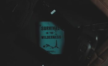 découvrez comment rédiger un testament de survivant clair et légalement valide pour protéger vos proches et garantir la gestion de vos biens selon vos souhaits après votre décès.